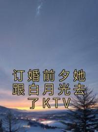 《订婚前夕她跟白月光去了KTV》江城叶轻语章节目录精彩阅读